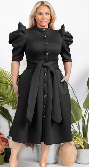 Analise Puff Sleeve Dress (Multicolors)