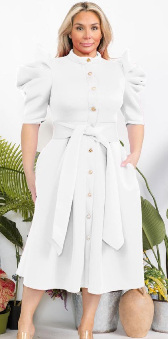Analise Puff Sleeve Dress (Multicolors)