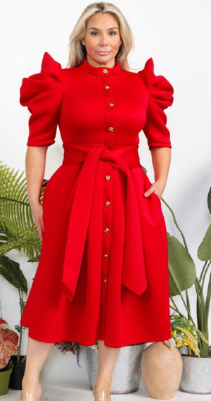 Analise Puff Sleeve Dress (Multicolors)